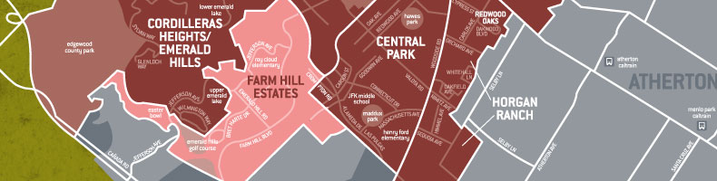 custom vector map