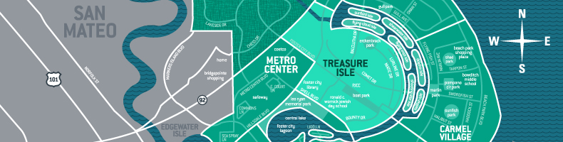 custom vector map