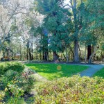 Burlingame Park Burlingame
