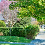 Burlingame Park Burlingame