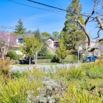 Burlingame Park Burlingame