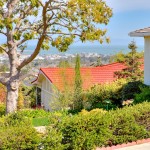 picture of neighborhood